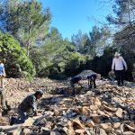 mars: élévation des murets