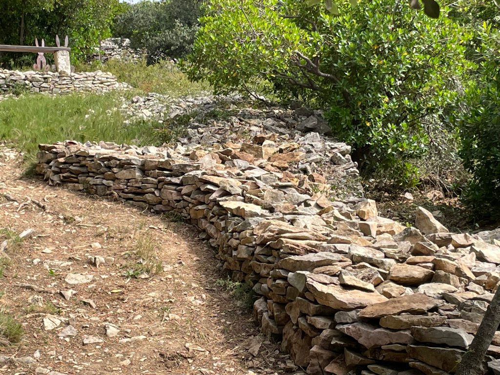 muret au sud du point de vue des lapins